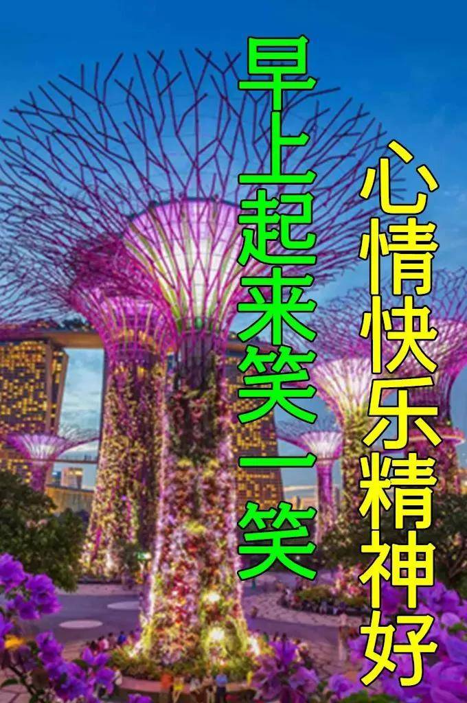 8张最新漂亮早上好图片鲜花带祝福语 创意唯美春日早安问候祝福图片