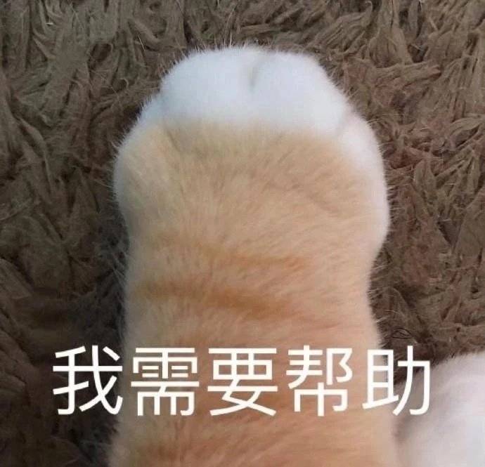 认真搞笑表情包