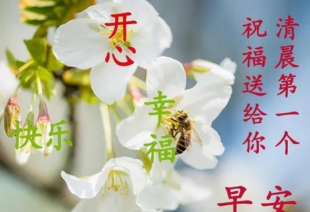 原创2021年4月28日周三早上好问候祝福动态表情图片最新早安问候祝福