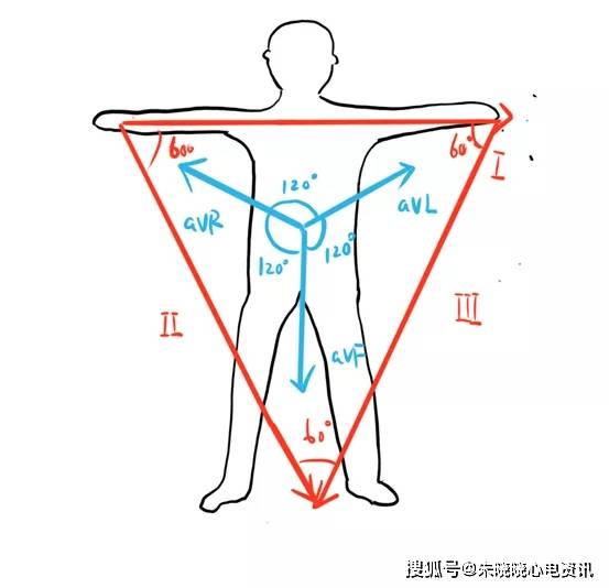 心电图额面导联汇总