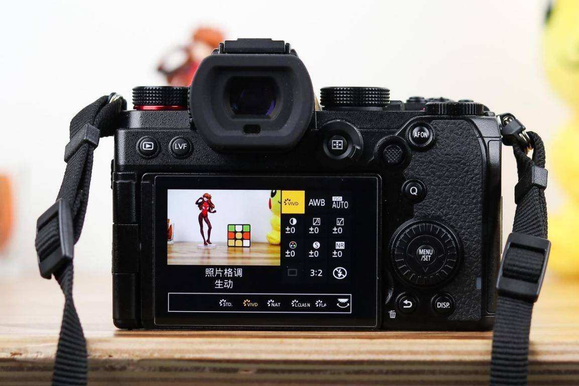谁说只是视频机松下lumixs5拍照体验评测