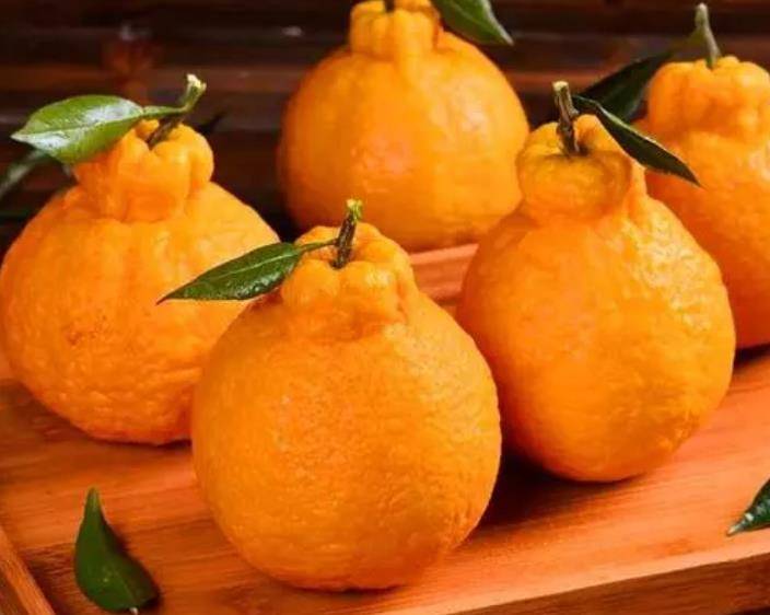 "丑橘"和"粑粑柑"是一种水果吗?很多人不懂,其实差别很大