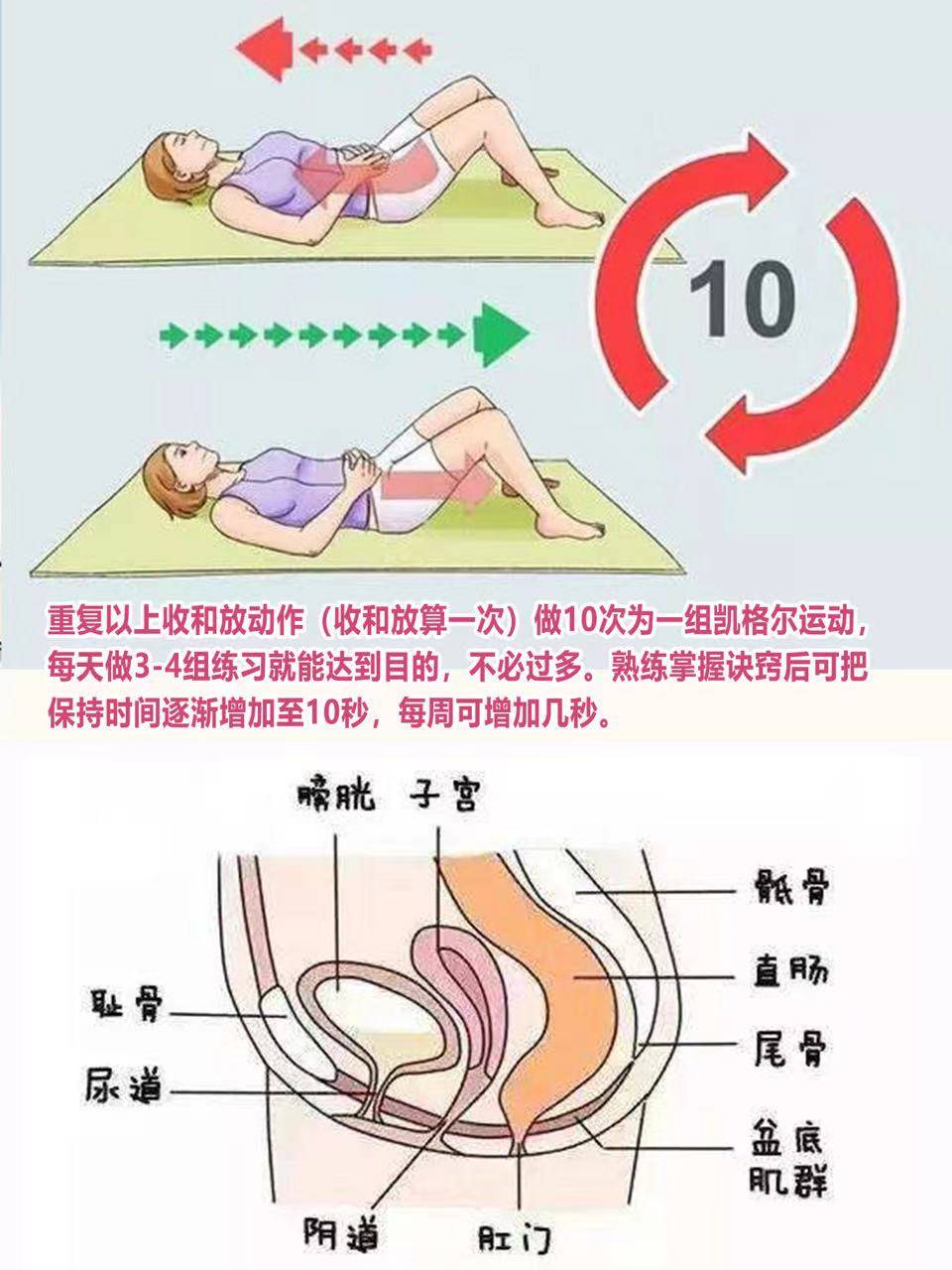 凯格尔运动全方位教程最实用的产后盆底肌修复指南