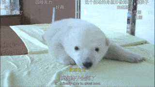 6106 ω 6107 )77这里讲述的,不仅仅是饲养员与兽医的故事