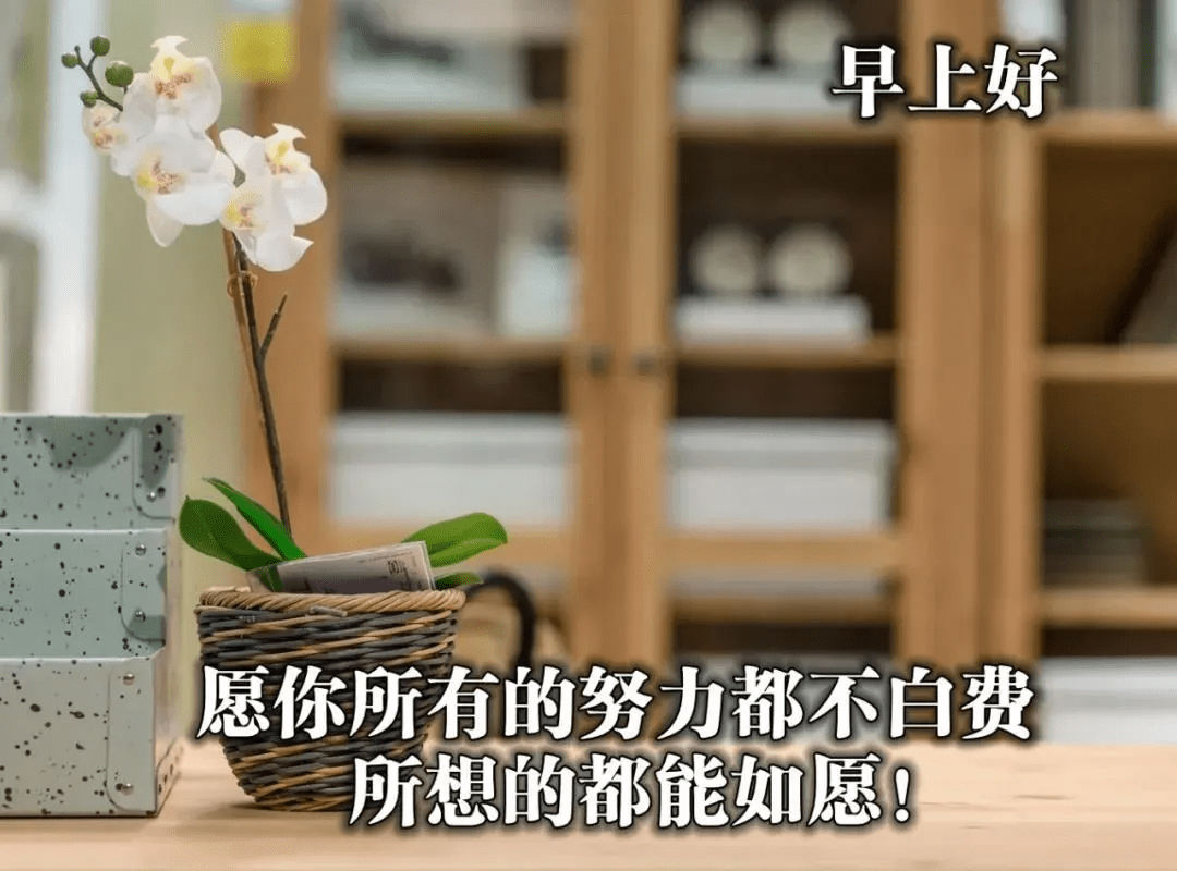 早安,时光依旧美好,看见红日升起,愿你生活如红日般红火