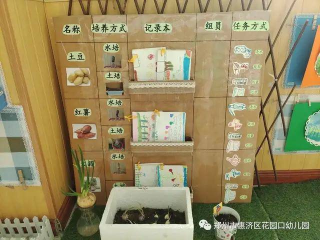 惠济区花园口幼儿园:种植区里的秘密-在种植活动中提升科学素养