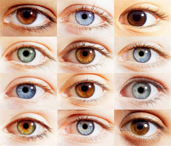 目前可知的人类眼睛颜色有黑色,棕色,琥珀色,灰色,蓝色,烫色.
