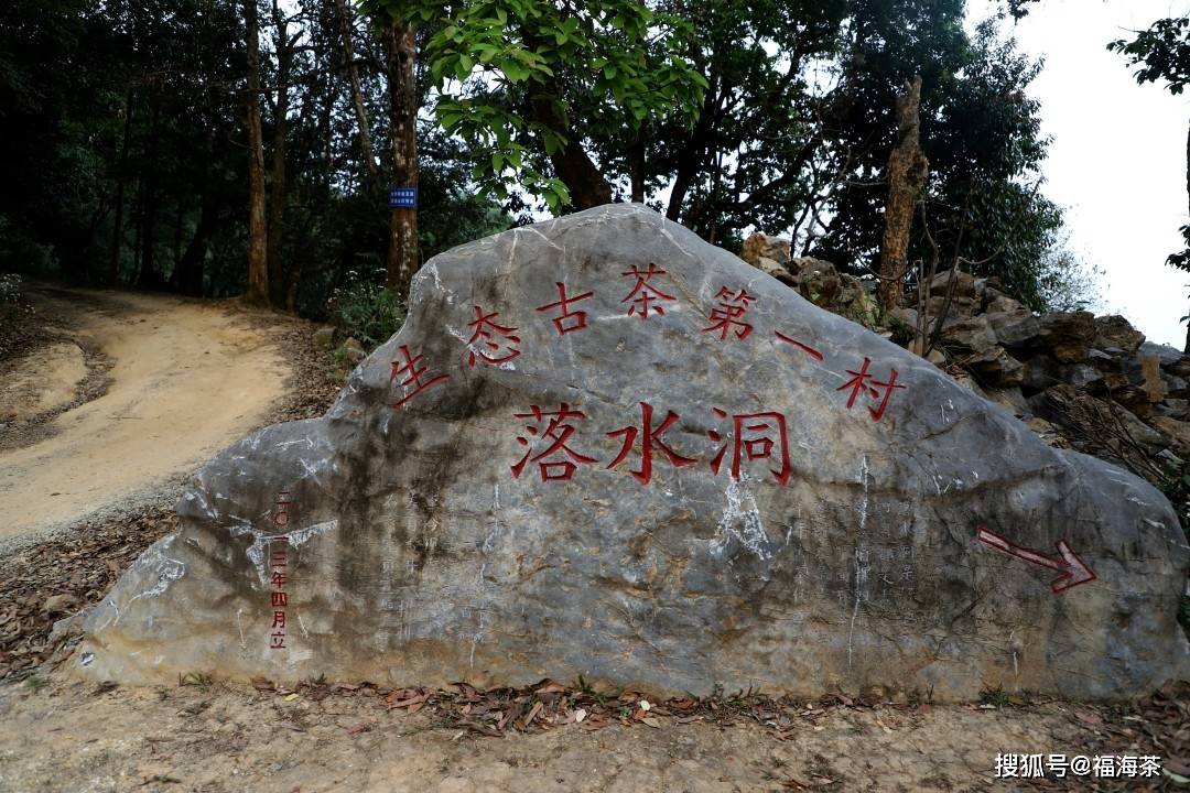 落水洞和麻黑村相连,村中有一棵800年茶王树,可惜在2017年,这颗茶王树