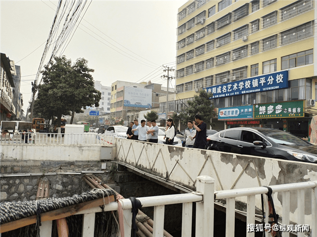 河南镇平环境卫生大整治雪枫在行动