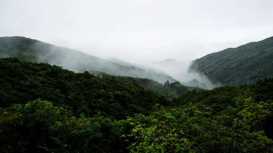 5月19日大围山风景