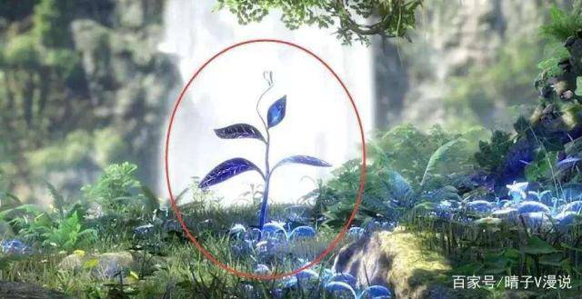 可以说,蓝银皇已经和蓝银草不是一种植物了,因为蓝银皇的属性,类似于