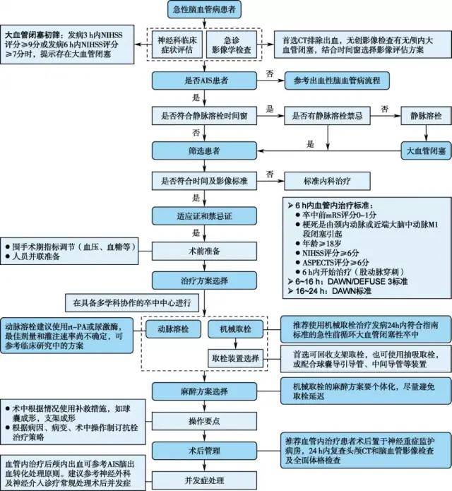 急性缺血性脑卒中处理流程