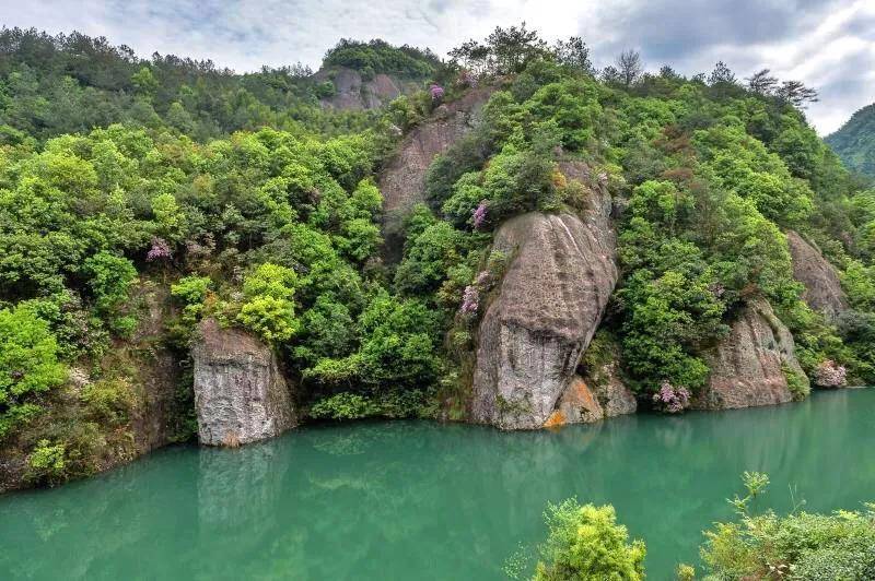 值得一提的是庐峰景区是农旅康养文化综合体,叶青坑山塘水库的清澈