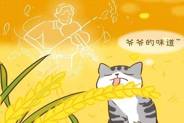 他,拯救了100万生命,创立世界粮食奖,和袁爷爷是一样的人!