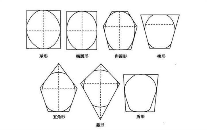 范芳医生谈头面轮廓美_头型