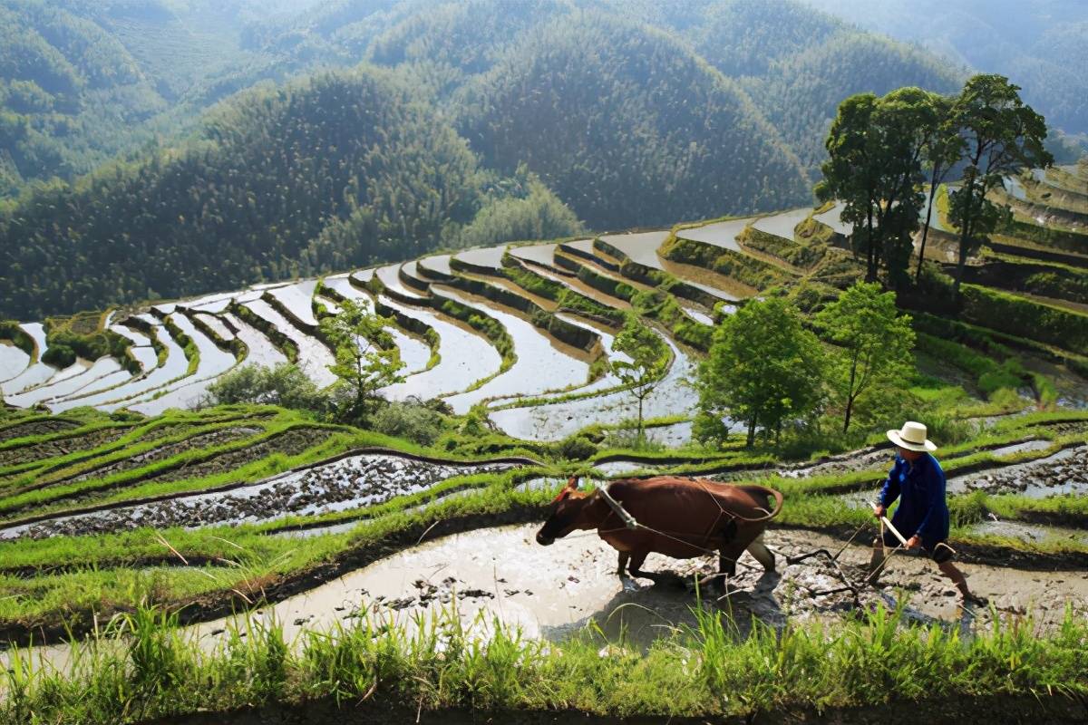 原创古代人种地是否挣钱,为何历朝历代,都因农民被推翻