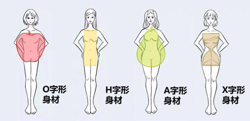 女孩子的身材大致可以分为几种类型,显而易见,h型身材有个 突出特点
