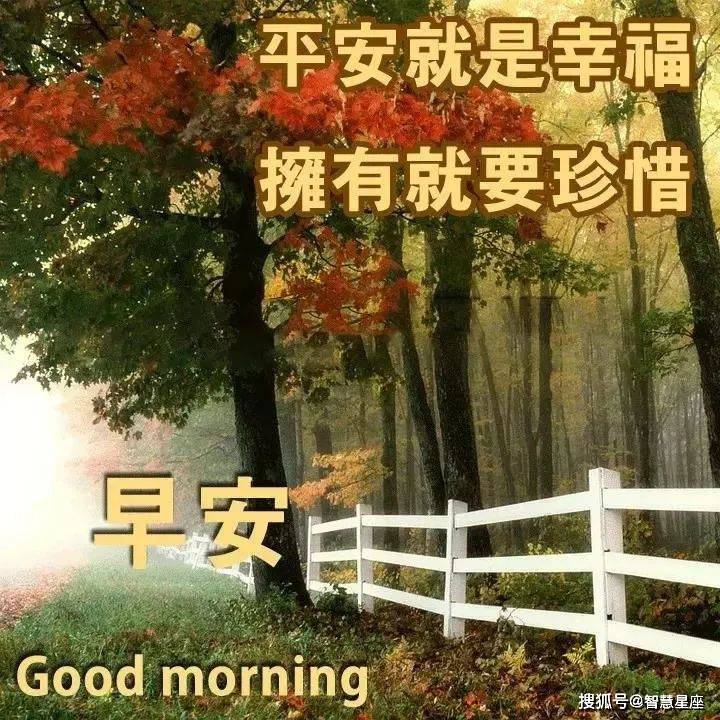 5月23日天气炎热新版,亲们早安动态图片问候:生活在于