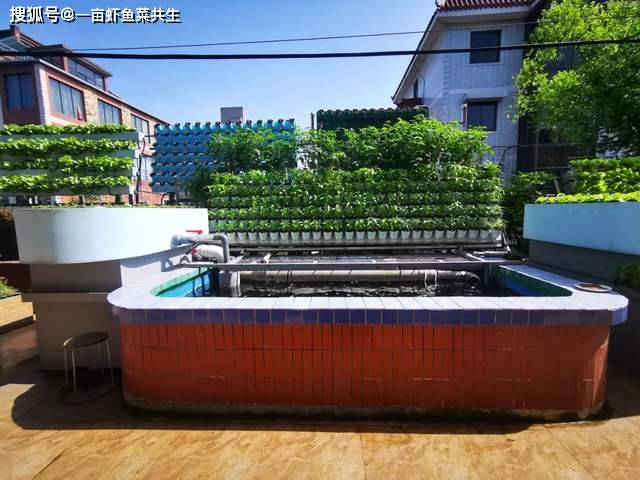 小川鱼菜共生阳台鱼池独立过滤二培菜墙平面潮汐种植槽