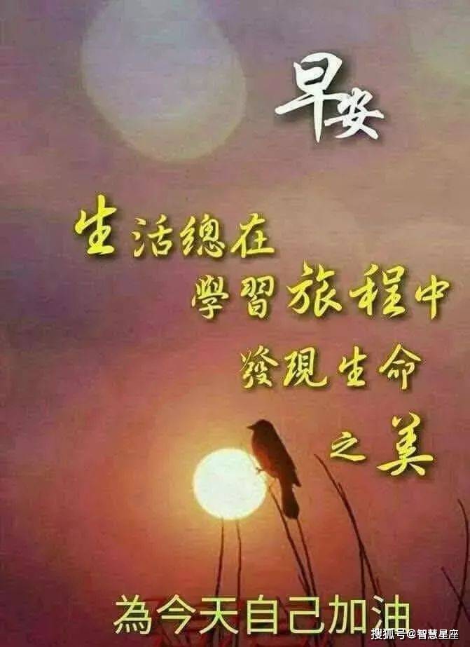 6月5日星期六让人幸福的早安问候祝福语录大全,特别好看的早安祝福