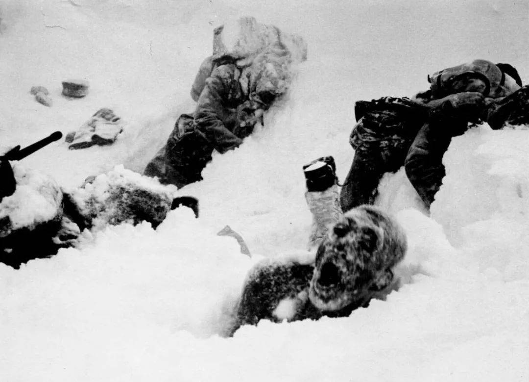 原创日本史上最大冻死人事件:是天灾还是人祸?