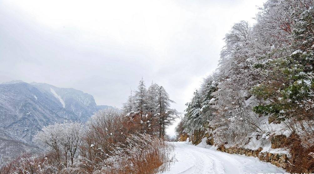 陕西最美的雪景,在秦岭之内,在终南山之巅,在你不远之