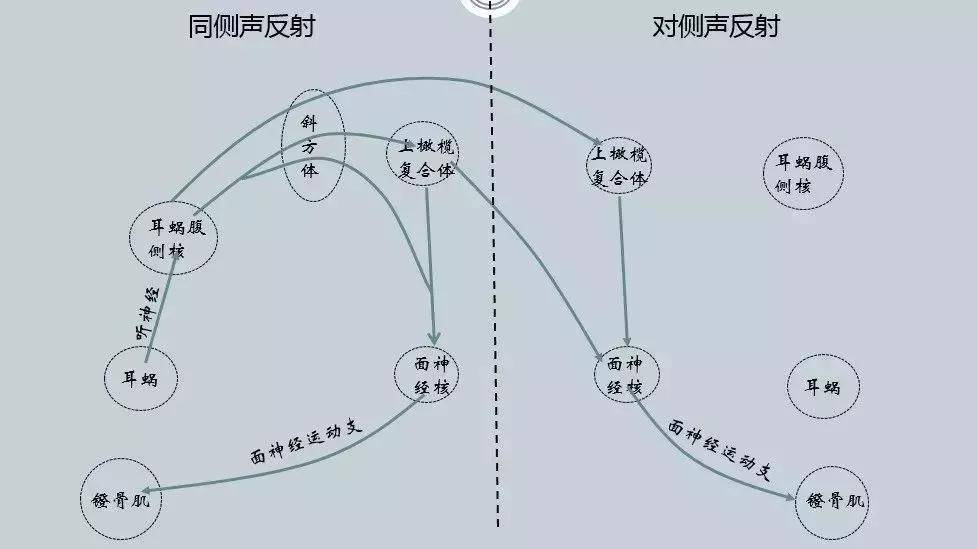 声反射测试的命名法