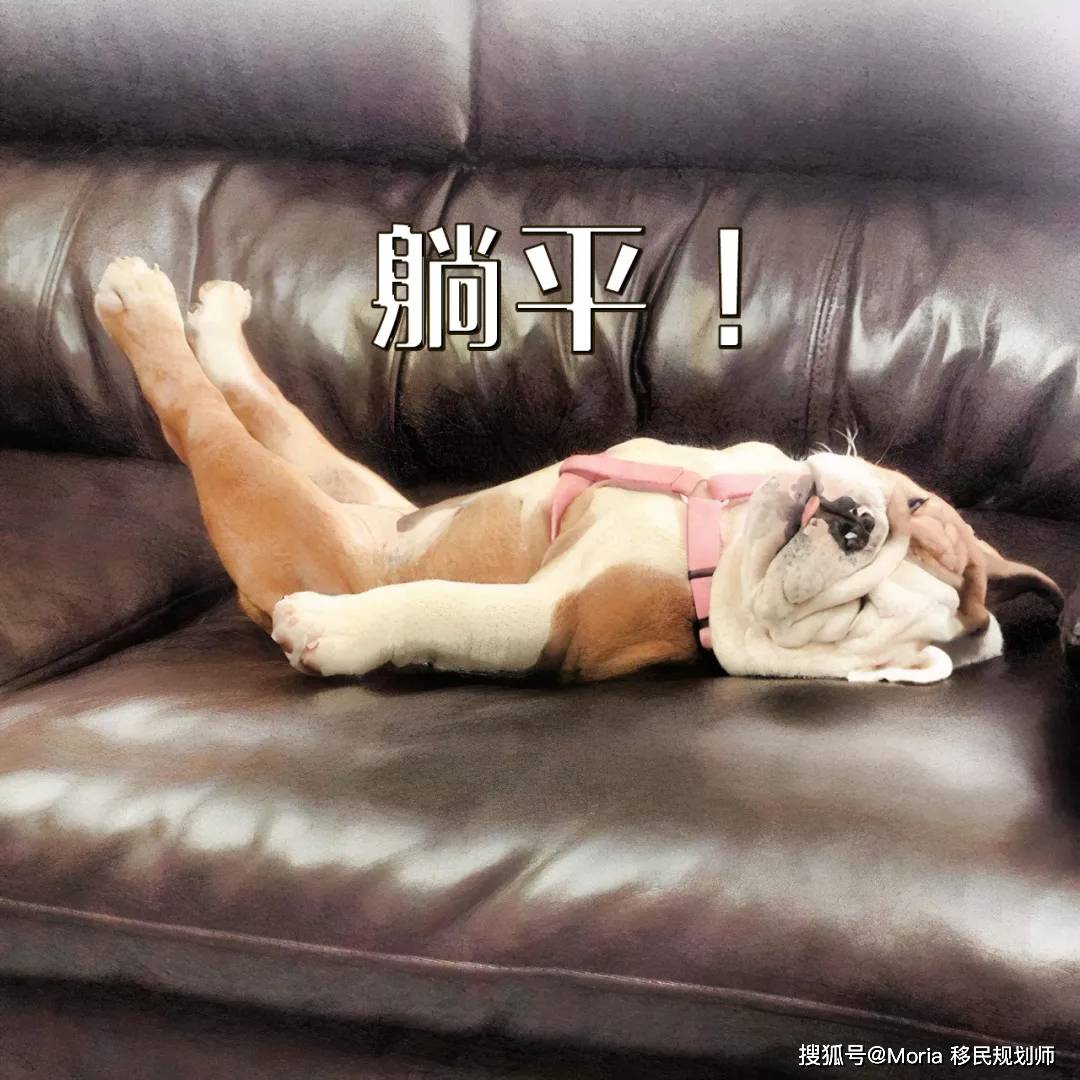 今天立志"拱城里的白菜",明天成了"躺平青年",究竟是为啥?