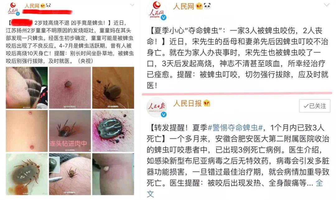 原创2岁孩子被蜱虫咬差点出事,夏季,娃被虫咬后怎么处理?一文讲清