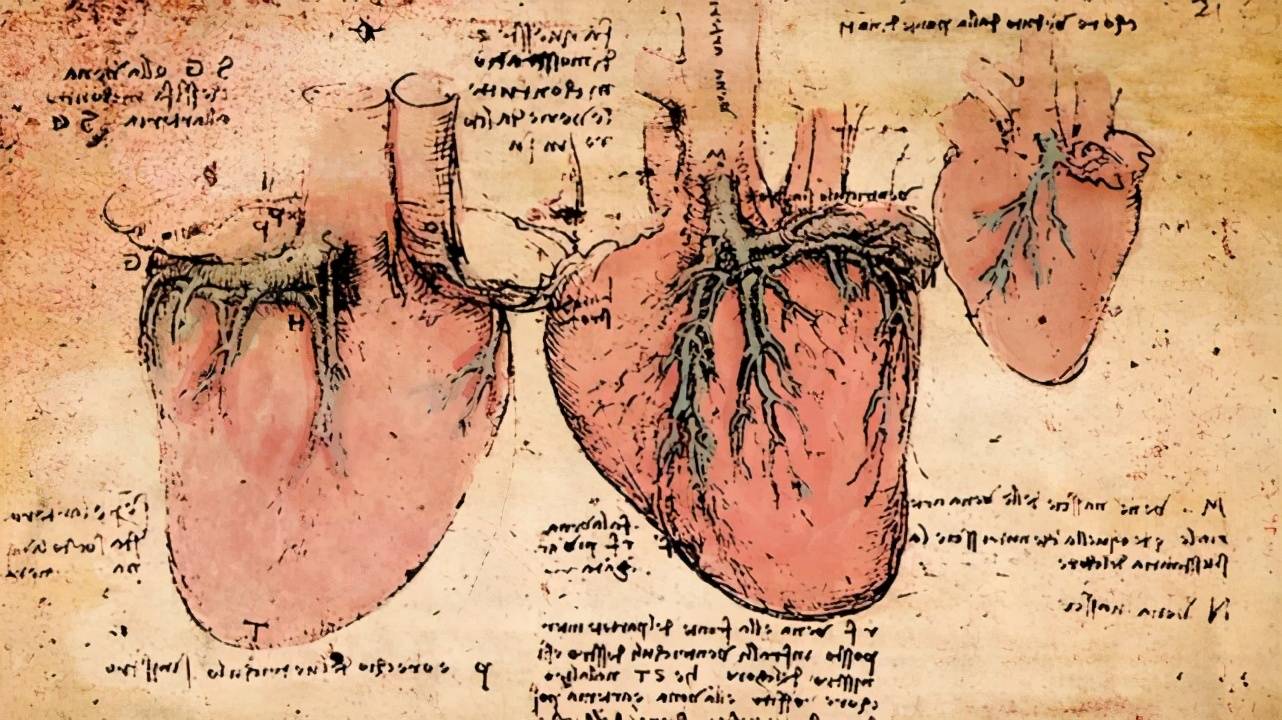 原创达芬奇真是穿越者他现存的心脏手稿人们花了500多年搞懂