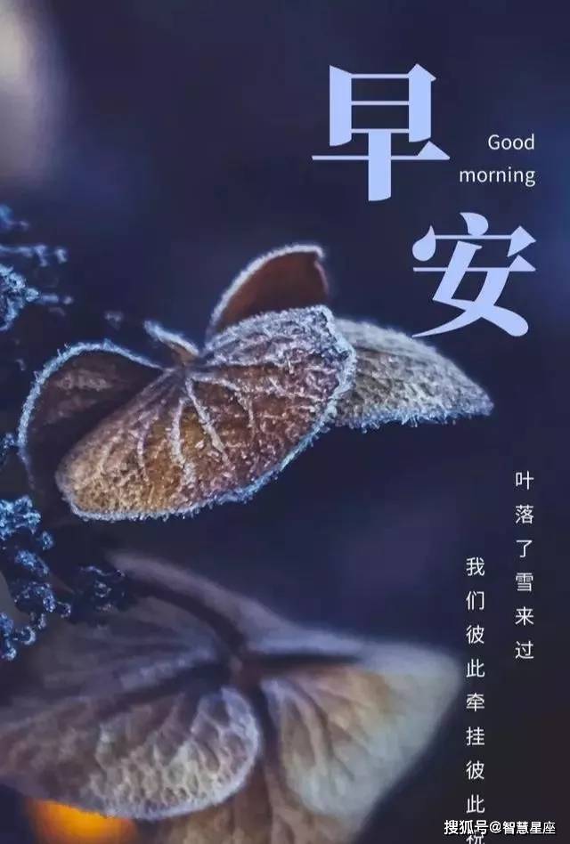 原创今日早上好问候语 早安励志语句正能量早安语录