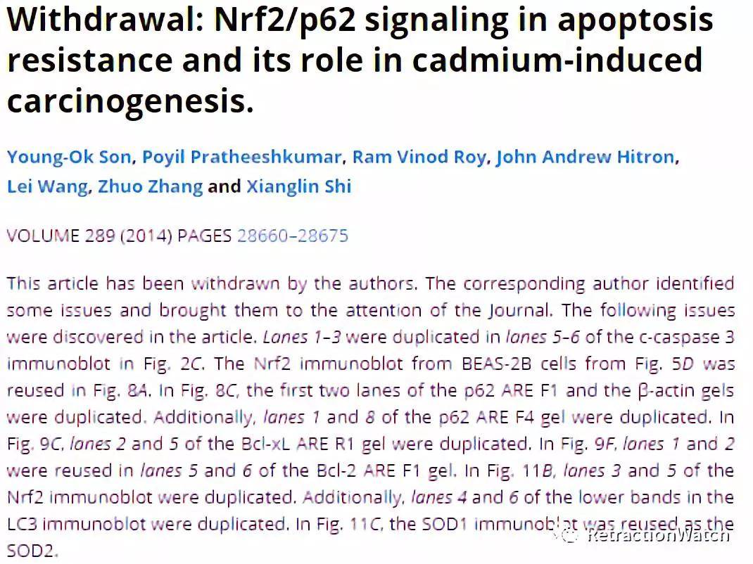 in apoptosis resistance and its role in cadmium-induced