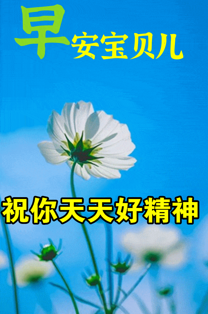 680_1024 竖版 竖屏