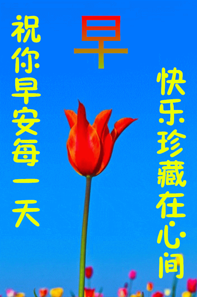 6月17日创意唯美早上好动画图片鲜花带祝福语 特别漂亮早安问候祝福