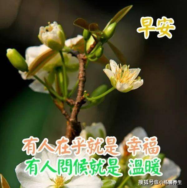 朋友圈最新早安祝福语漂亮图片,愿你开心在今天幸福在