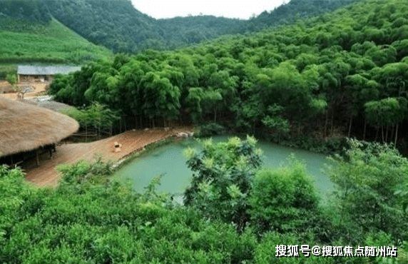 湖州安吉碧桂园凤凰府官方楼盘详情房价本月特价房动态