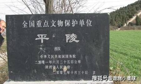 唐伯虎:不见五陵豪杰墓,无花无酒锄作田,究竟是指哪五