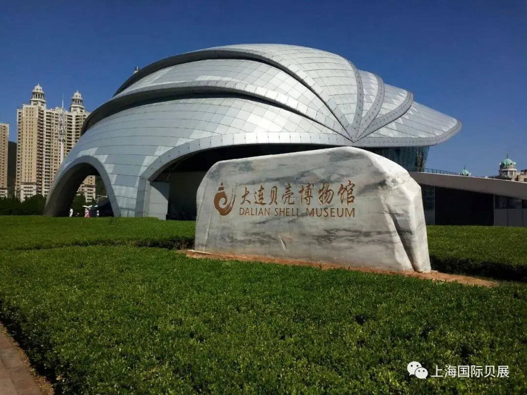 清华大学标本馆,大连贝壳博物馆,深圳市海之洋贝壳博物馆协办上海国际