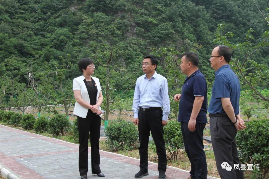 宝鸡凤县县委书记张扬:大力发展村集体经济 确保群众持续增收
