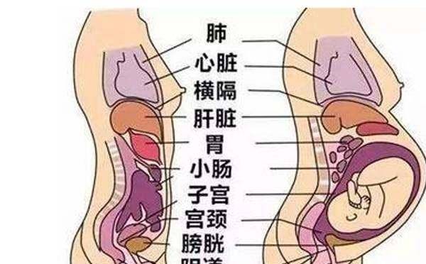 原创一张图告诉您怀孕后最大变化不是肚子而是这里! 准爸爸特别要看!