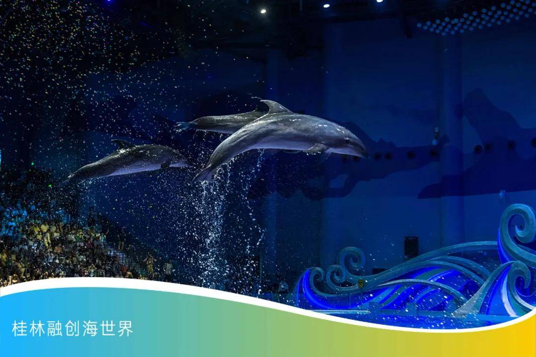 桂林融创国际旅游度假区盛大启幕,打造世界级旅游城市新名片