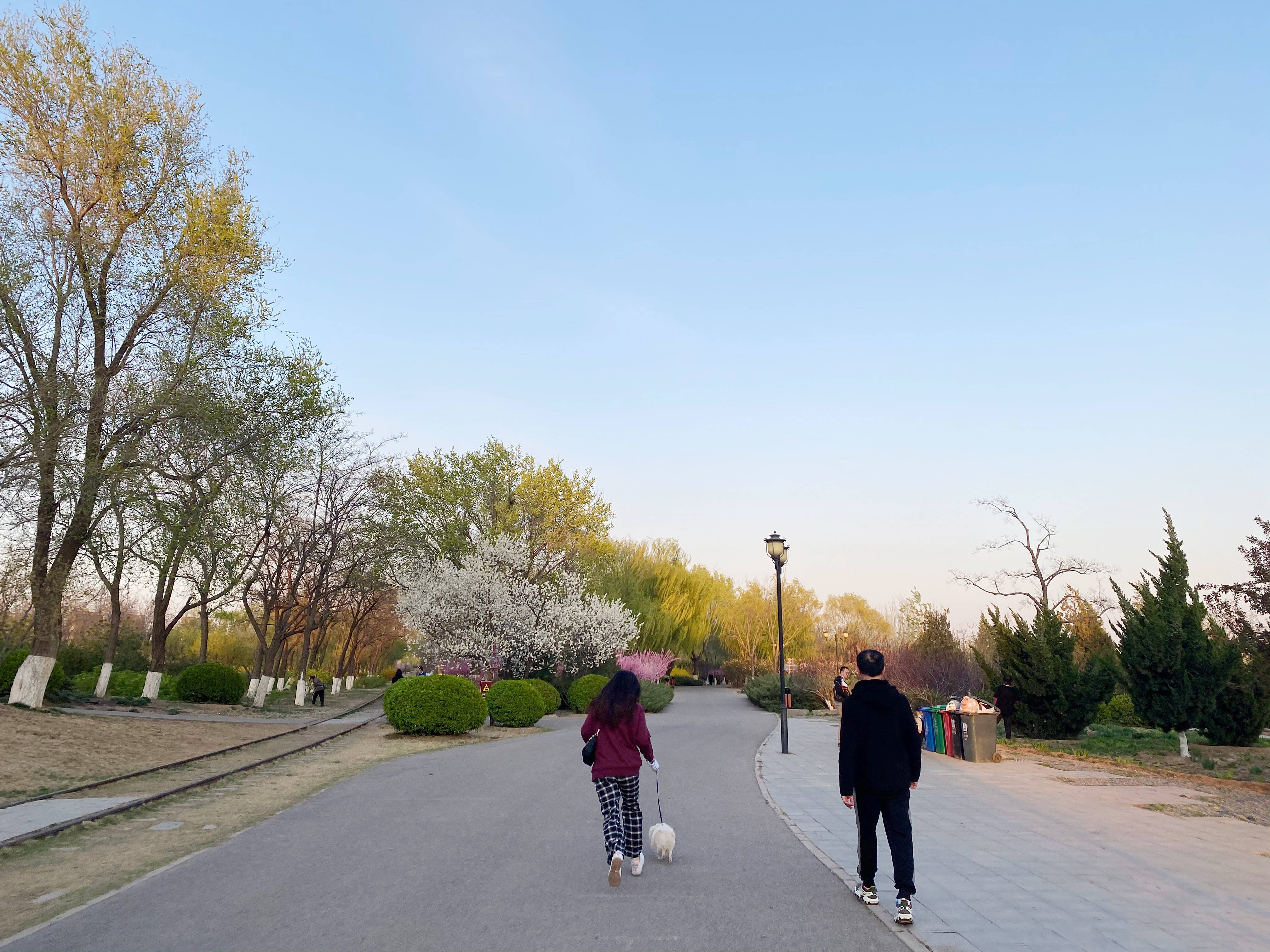 藏在东南五环边上的马家湾湿地公园,绝对是集"遛娃,遛狗,野餐,健身"