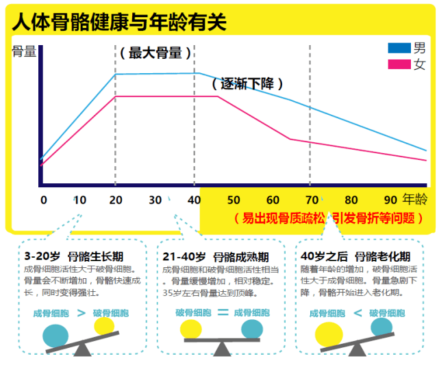 成骨细胞时,骨骼中的钙的流失速度会大于吸收速度,从而导致骨密度下降