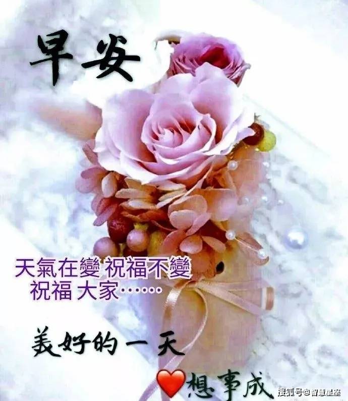 7月3日大家早上好,清晨唯美温馨的祝福问候语,漂亮早上好问候语表情