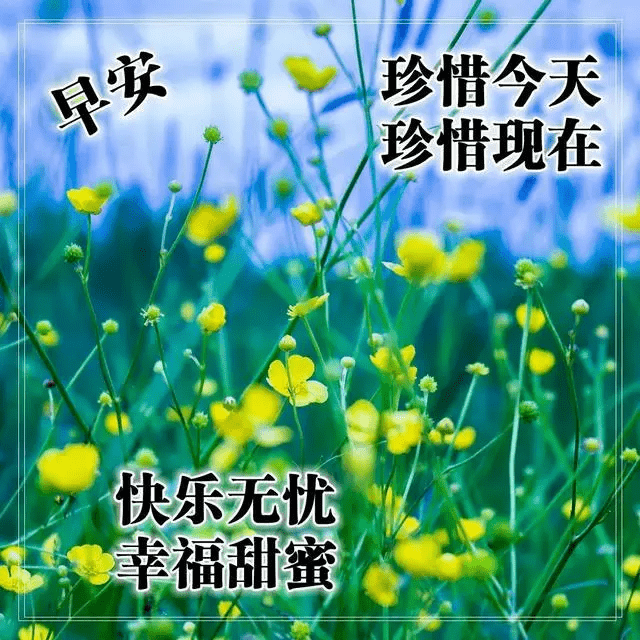 清晨第一声祝福送给您,珍惜当下,活好现在,便是最美的