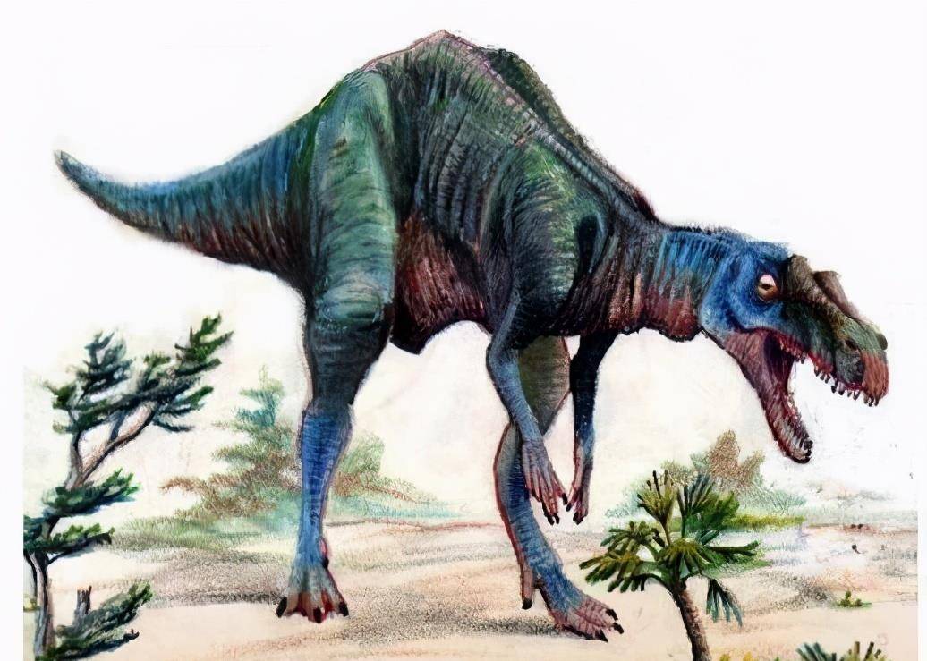 原创冰脊龙是唯一在南极洲被发现的兽脚类恐龙也是首度被纪录的