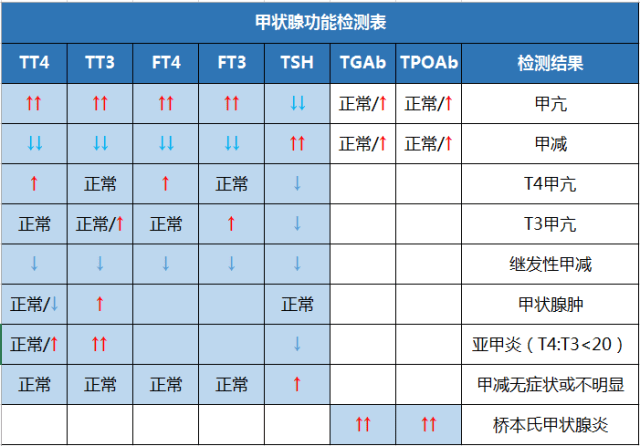 醋嘉勋医生来帮忙,一文读懂甲状腺所有奥秘!_功能