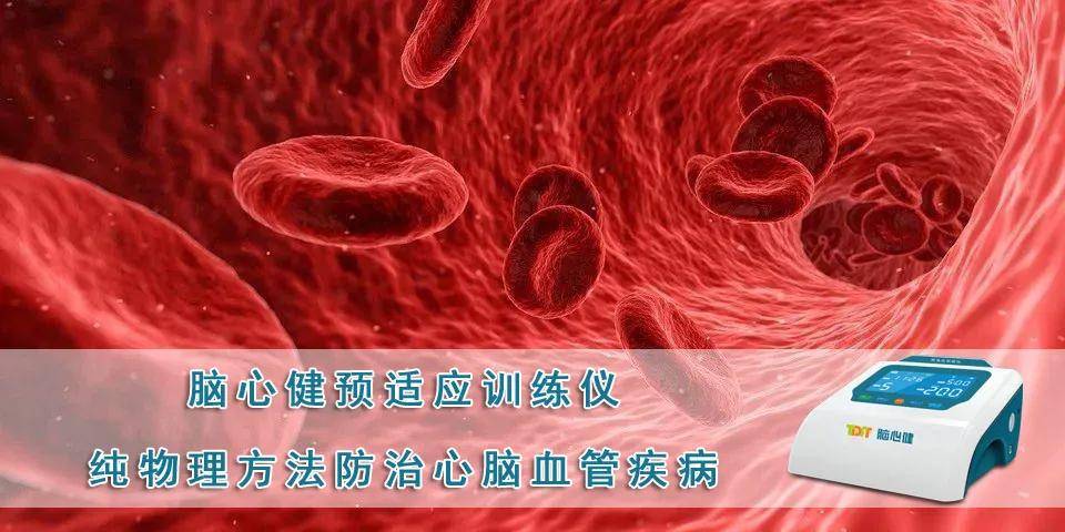 缺血预适应训练已被证实具有较强的心肌和大脑保护作用,能提高大脑