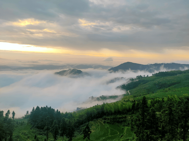 避暑胜地度假天堂雪峰山高山台地是您的不二之选