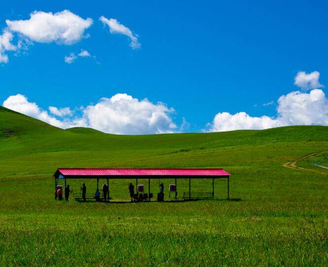 内蒙古乌兰察布黄花沟喜喜农家院,辉腾锡勒大草原上的